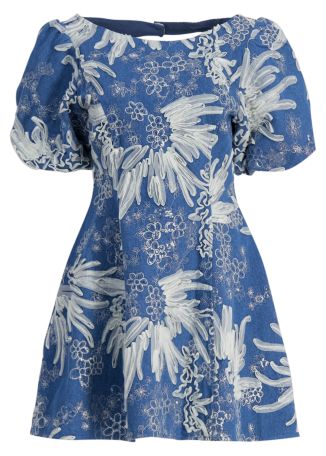 Anneliese embroidered denim mini dress