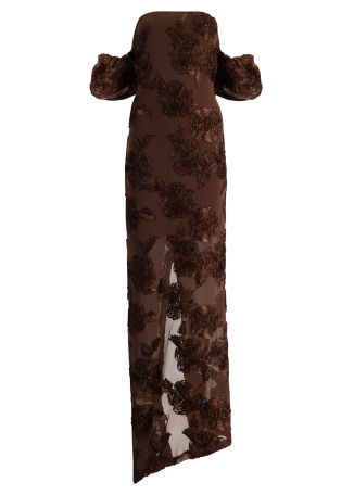 Brown floral-embroidered mesh maxi dress