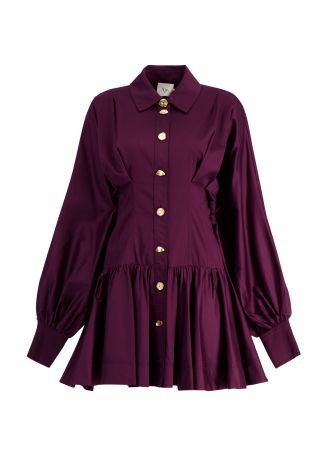 Alexa burgundy stretch-cotton mini dress
