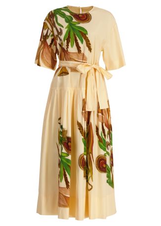 Aniline printed cotton maxi dress