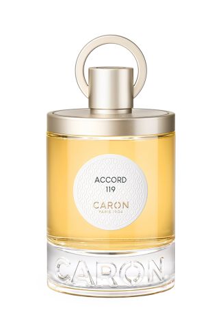 Accord 119 Perfume Refillable Spray